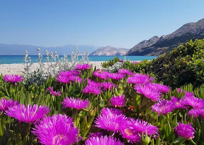 Barbalic D 3* Baška