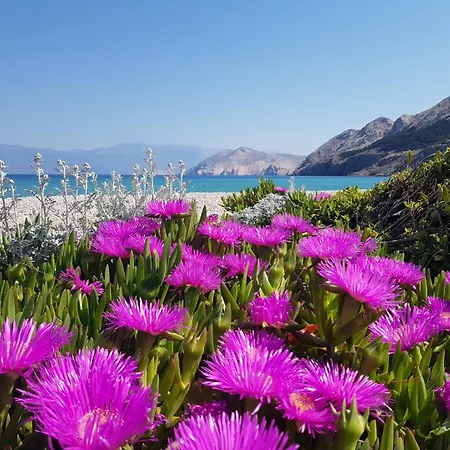 Barbalic D 3* Baška