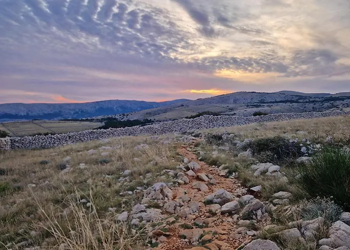 Barbalic D 3* باشْكا